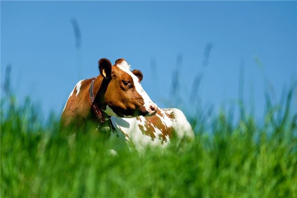 好聽的名字_孫安宜