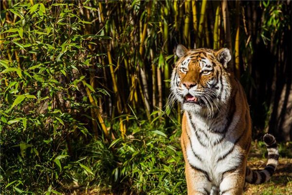 得分測(cè)試_鄭凝荷