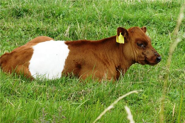 免費取名_周錦曦