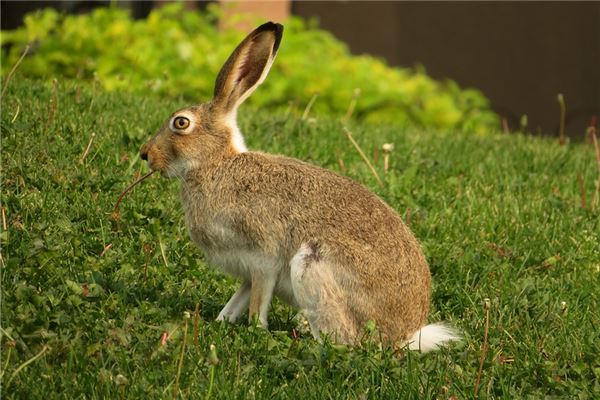 名字推薦_鄭水荷