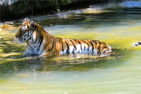 好聽的名字:吳瀚玥