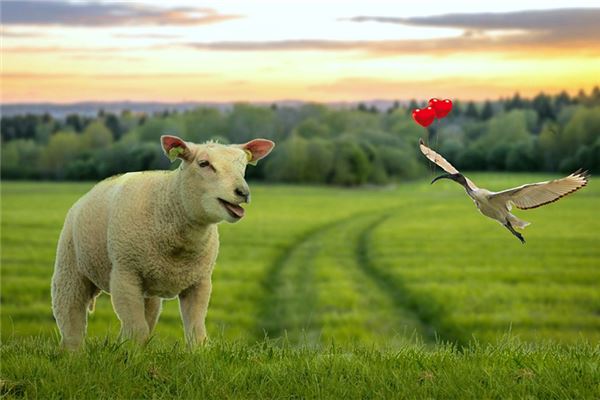 五格起名:吳訪兒