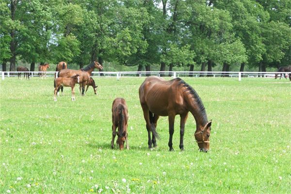 取名技巧_殷姓起名
