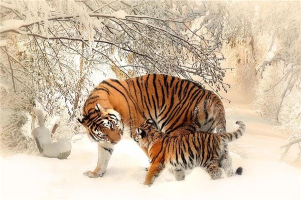 姓氏取名_周雨華