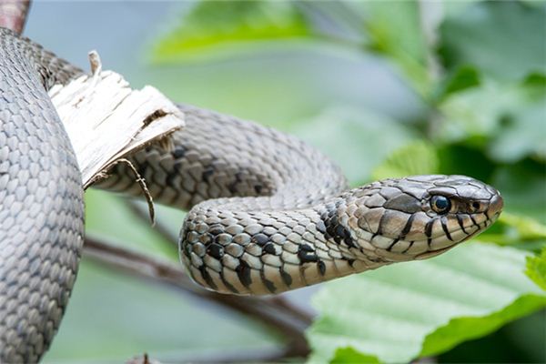 免費取名軟件_好聽的微信名字