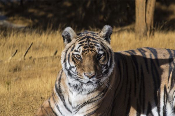 免費取名_周宛秋