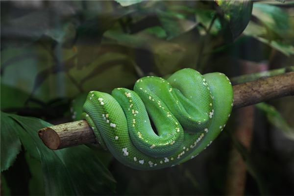 梁頌學的姓名打分結果_梁頌學五行分析