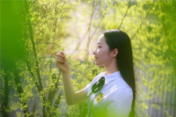 寶寶取名_免費八字名字測試打分