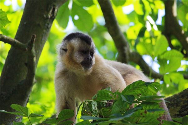新生兒取名_周書雙