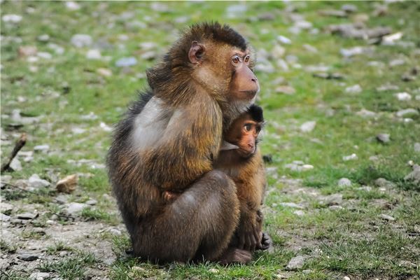 寶寶起名:吳蔚星