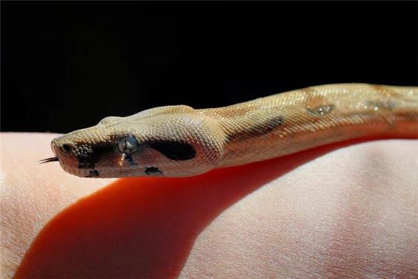 如何取名_吳云洋