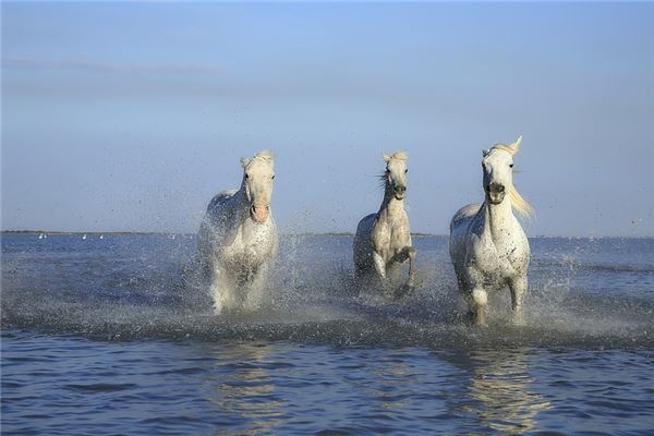 霍肖宇的姓名打分結(jié)果_霍肖宇五行分析  第1張