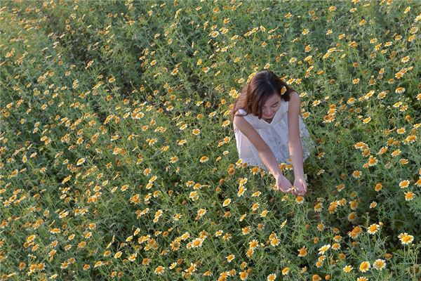 姓名得分_李豐羽