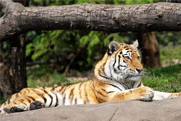 名字推薦:吳嘉年