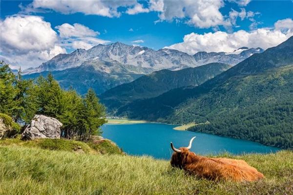 取名字打分:吳鴻軒